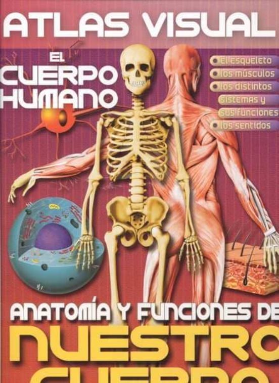 ATLAS VISUAL DEL CUERPO HUMANO VV AA Casa Del Libro