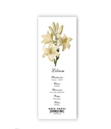 artepapel marcapáginas lilium-8436615387908
