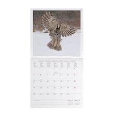 calendario 2026 pared mes vista owls legami-8052694033118