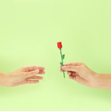punt de llibre caja rosa sant jordi-8430306282398