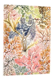 libreta paperblanks anemonas midi r 176p-9781439799048