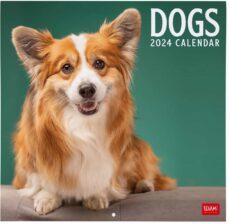 calendario 2024 pared mes vista dogs legami-8051128758788