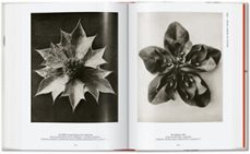 karl blossfeldt. the complete published work. 40th ed.-9783836598514