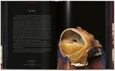anatomical waxes. 45th ed.-marta poggesi-9783754402177