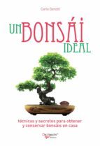 UN BONSÁI IDEAL (EBOOK)