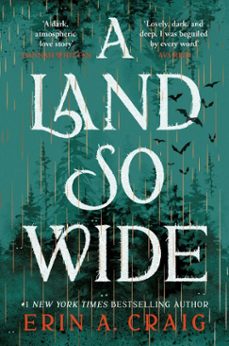 a land so wide (ebook)-erin a. craig-9781035411108