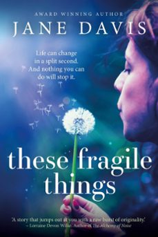 these fragile things (ebook)-jane davis-9781513054308