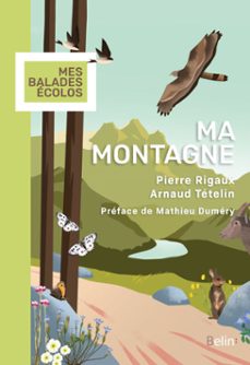 -pierre rigaux-arnaud tételin-mathieu duméry-9782410026108