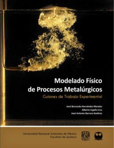modelado físico de procesos metalúrgicos. guiones de trabajo experimental (ebook)-josé bernardo hernández morales-alberto ingalls cruz-josé antonio barrera godínez-9786073059008