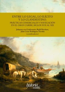 entre lo legal, lo ilicito y lo clandestino (ebook)-9786078611508