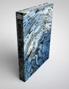 a rock turns into a frog-carlos irijalba-9788412322408