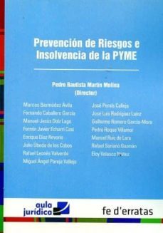 prevencion de riesgos e insolvencia de la pyme-pedro bautista martin molina-9788415890508
