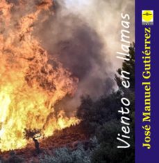 viento en llamas (ebook)-9788417892708