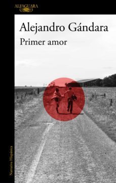 primer amor (ebook)-alejandro gandara-9788420464008