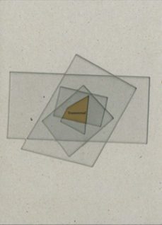 transversal: biacs3. youniverse-9788447212408
