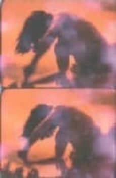 stan brakhage (ed. bilingue castellano-ingles)-berta sichel-9788480262408