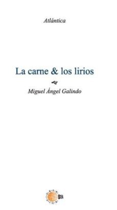 -miguel ange galindo rodriguez-9788483821008