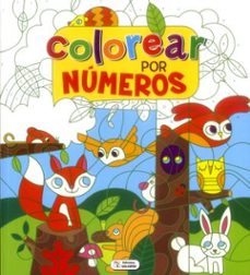 colorear por numeros-9788491780908