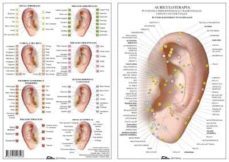 auriculoterapia-miguel jimenez hernandez-9788494518508