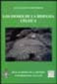 los dioses de la hispania celtica-juan carlos olivares pedreño-9788495983008