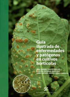-juan manuel y otros editores pineda giraldo-9789587592108