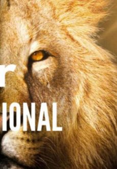 amor incondicional (ebook)-daniel xavier de oliveira-3410006668918