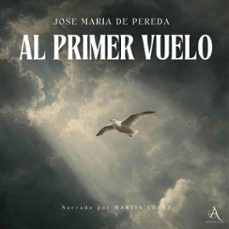 al primer vuelo - audiolibro (audiolibro)-jose maria de pereda-audiolibros clasicos-audiolibros de clasicos-4069829248518