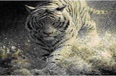 karate-do nunca termina. (ebook)-luis fernandez-9781393472018