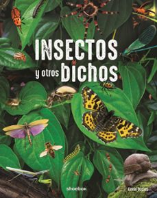 insectos y otros bichos-9781773886718
