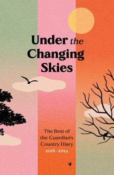 under the changing skies (ebook)-9781783353118
