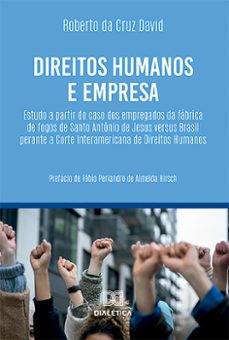direitos humanos e empresa (ebook)-julia stefanello pires-patrícia almeida de moraes-9786527011118