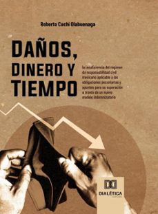 daños, dinero y tiempo (ebook)-roberto cuchí olabuenaga-9786527048718