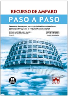 recurso de amparo. paso a paso-carlos david delgado sancho-9788413591018