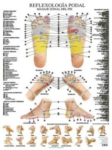lamina de reflexologia podal-miguel jimenez hernandez-9788416972418