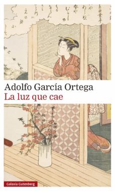 la luz que cae (ebook)-adolfo garcia ortega-9788418526718