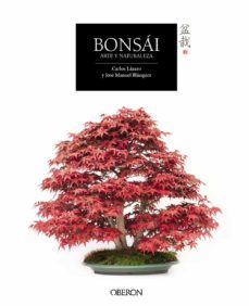 bonsai: arte y naturaleza (libros singulares)-carlos lazaro-jose manuel blazquez-9788441537118