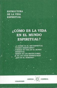 como es la vida en el mundo espiritual-9788460089018