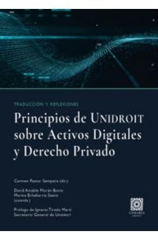 principios de unidroit sobre los activos digitales y derecho privado. traducción y reflexiones-maria del carmen pastor sempere-9791370330118