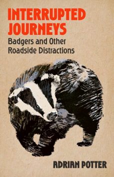 interrupted journeys-adrian potter-9781399822428