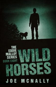 wild horses (ebook)-joe mcnally-9781540159328