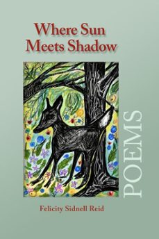 where sun meets shadow (ebook)-felicity sidnell reid-9781987872828