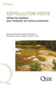 -domenico morabito-sylvain bourgerie-manhattan lebrun-9782759241828