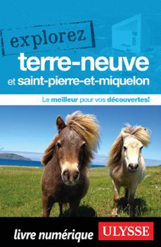 -frederique sauvee-benoit prieur-9782765838128