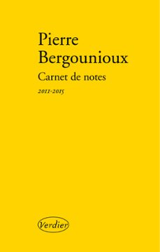 -pierre bergounioux-9782864328728