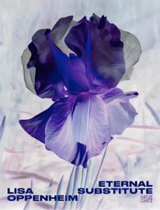 lisa oppenheim: the eternal substitute (ebook)-9783775761628