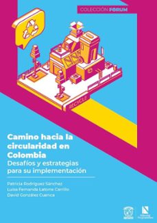 -patricia rodríguez sánchez-luisa fernanda latorre carrillo-david gonzález cuenca-9786287758728