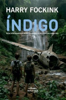 indigo (ebook)-harry g. fockink-9786527407928