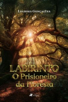 labirinto (ebook)-lourdes gonçalves-9786528028528