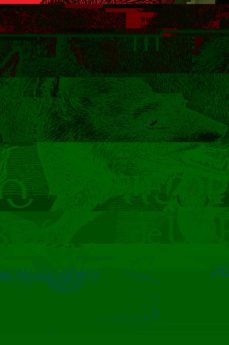 tiempo de lobos (version española) (ebook)-jen williams-9788418711435