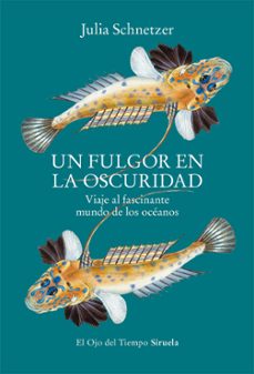 un fulgor en la oscuridad (ebook)-9788419744128